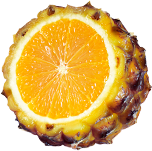 Orangeapple